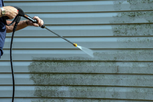 Best Driveway Pressure Washing  in St Andrews, SC